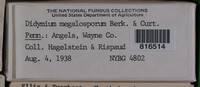 Image Associated With the Occurence